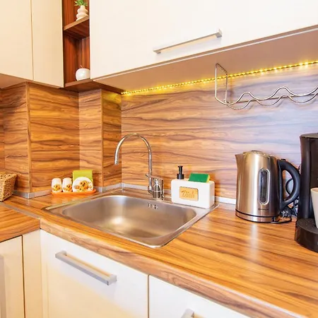 Domus Amber With Parking Apartamento Plovdiv