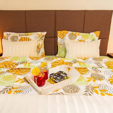 Domus Amber With Parking Plovdiv