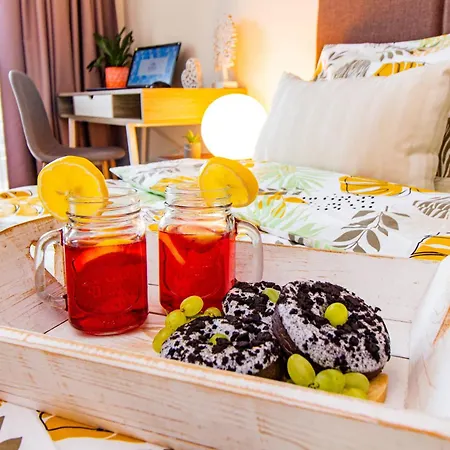 Domus Amber With Parking * Plovdiv