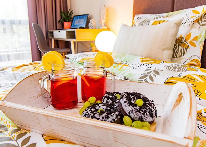 Domus Amber With Parking * Plovdiv